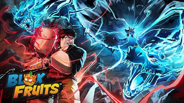 Blox Fruits Code