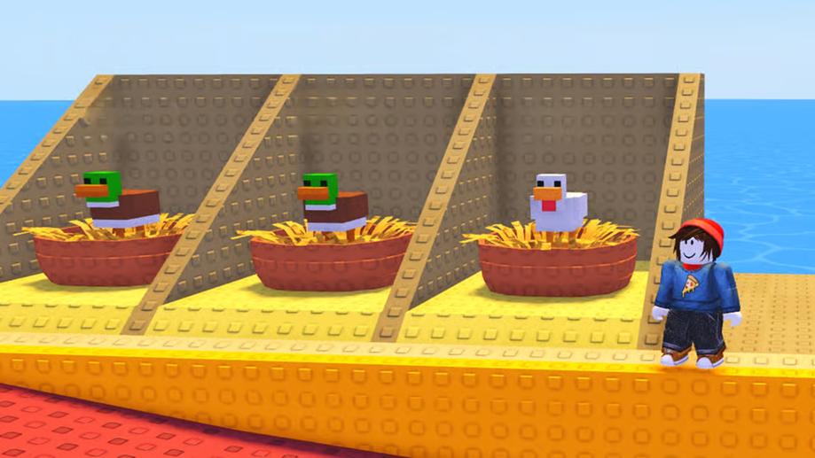 Chicken Farm Codes